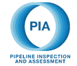 Pipeline assessment system